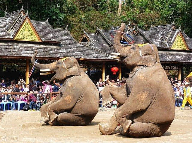 6个最适合带娃去的旅行地，适合不同年龄段的宝贝