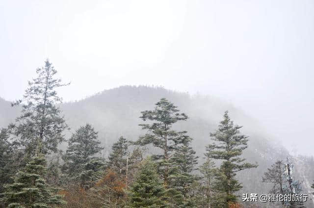 旅行丽江玉龙雪山遇大雪，赶上最后一趟索道，几千米高空上抖晃！