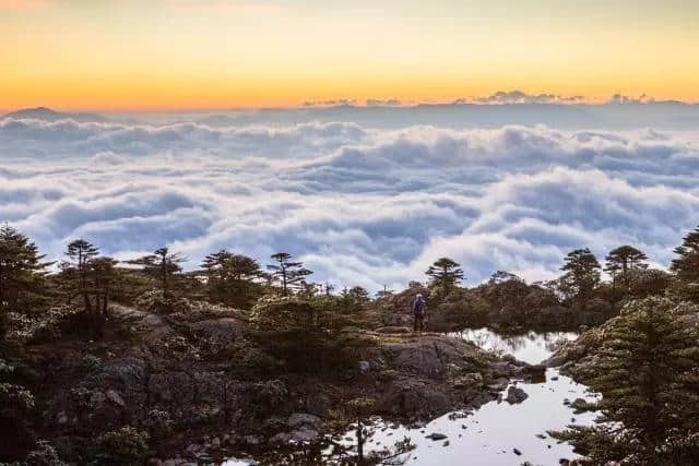 旅游的方式有很多种 但千万别去露营！