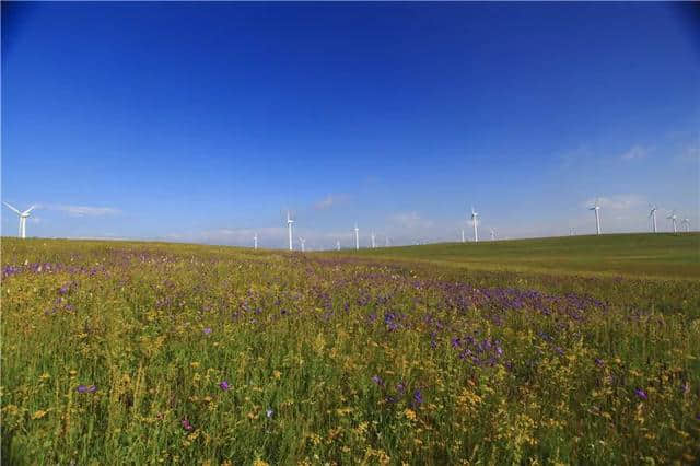 “首都的后花园”美丽的乌兰察布