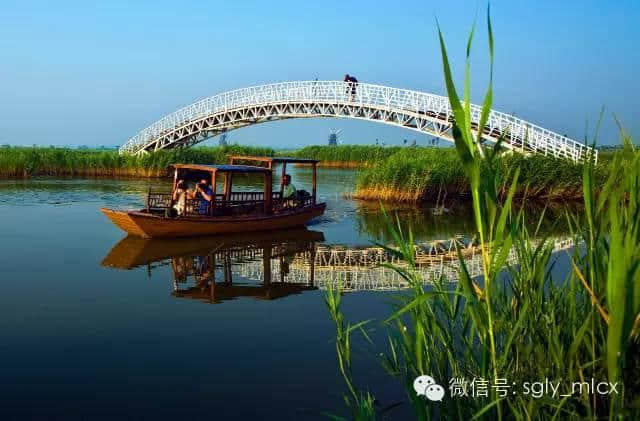 【寿光美景】游大湿地，做深呼吸，寿光巨淀湖景区欢迎您！