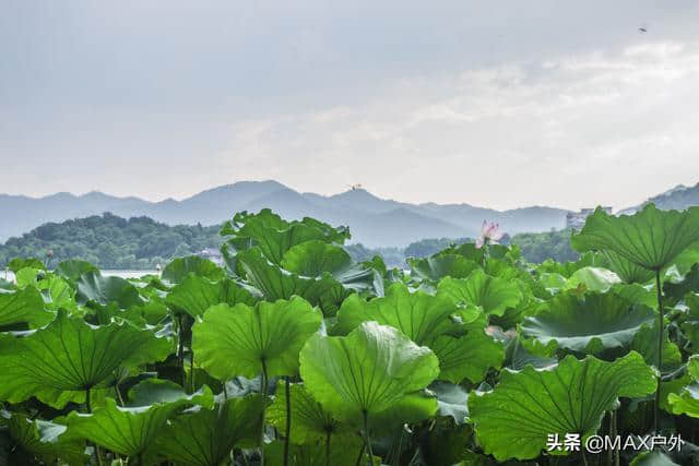 国内适合带父母旅行的8个地方，父母满意自己舒心