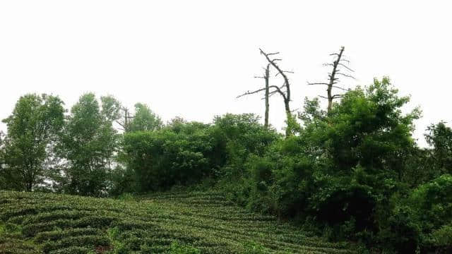 去打卡！湖州又添一处国家4A级旅游景区