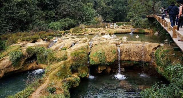 和顺古镇，蜀南竹海，塞罕坝，这个暑假要去旅游就去这里