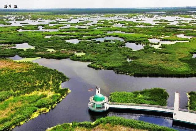 知道网们最喜欢的黑龙江湿地有哪些吗？看看这些美景你就知道了