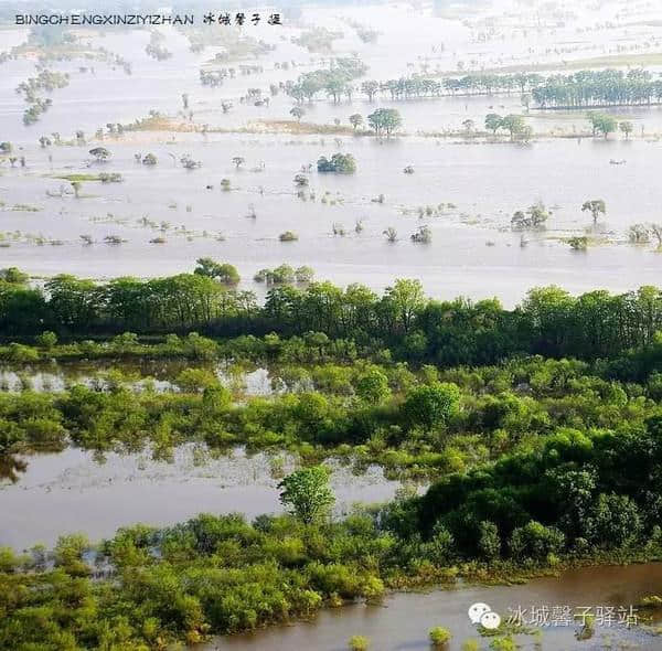 知道网们最喜欢的黑龙江湿地有哪些吗？看看这些美景你就知道了