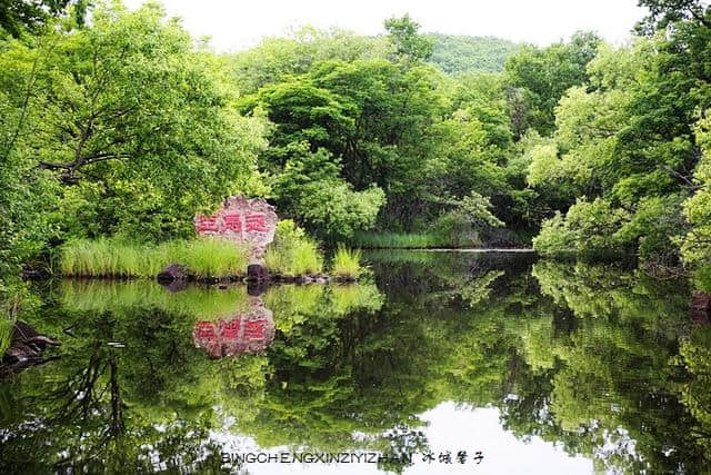 知道网们最喜欢的黑龙江湿地有哪些吗？看看这些美景你就知道了