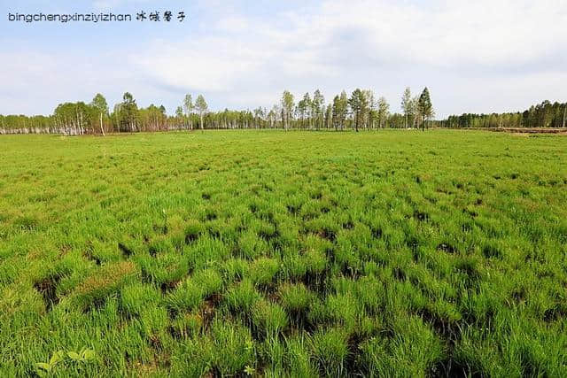 知道网们最喜欢的黑龙江湿地有哪些吗？看看这些美景你就知道了