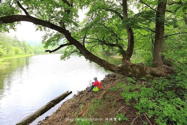 知道网们最喜欢的黑龙江湿地有哪些吗？看看这些美景你就知道了