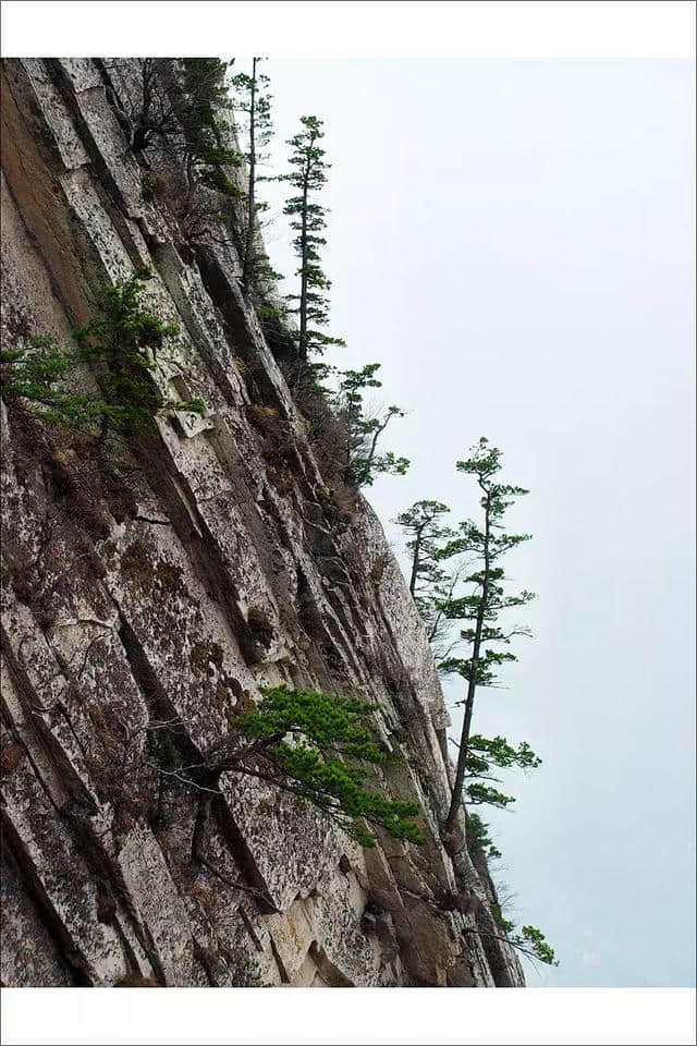 哪些东西不得不带？夜爬华山的看过来