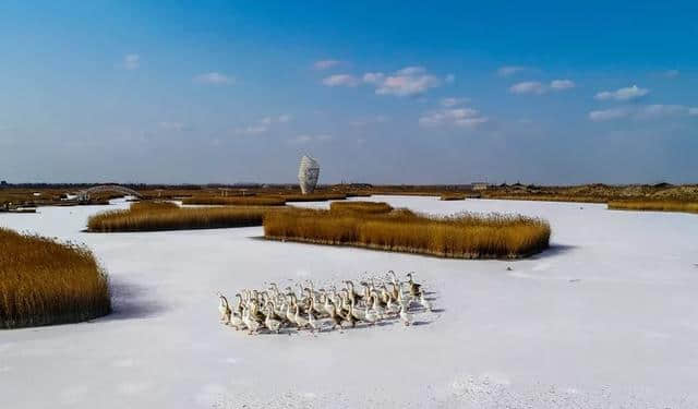 寿光的春夏秋冬，全是大片！