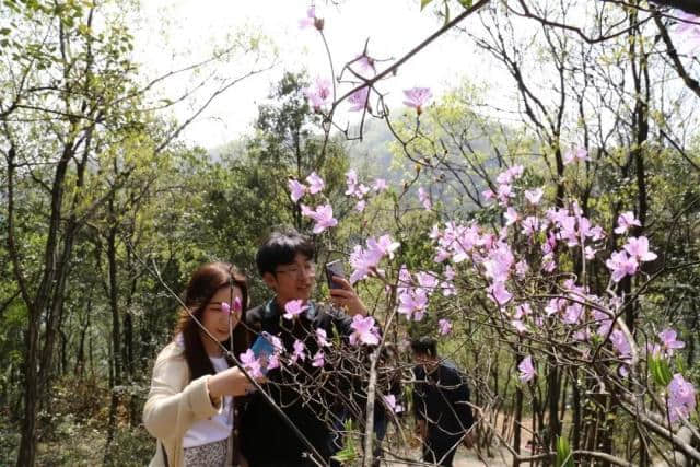 游客突破200万 清明小长假湖州旅游迎来“踏青潮”