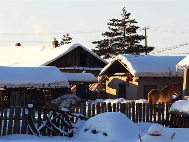 冰雪北极·冻感兴安丨大兴安岭冬季旅游六大路线任你选