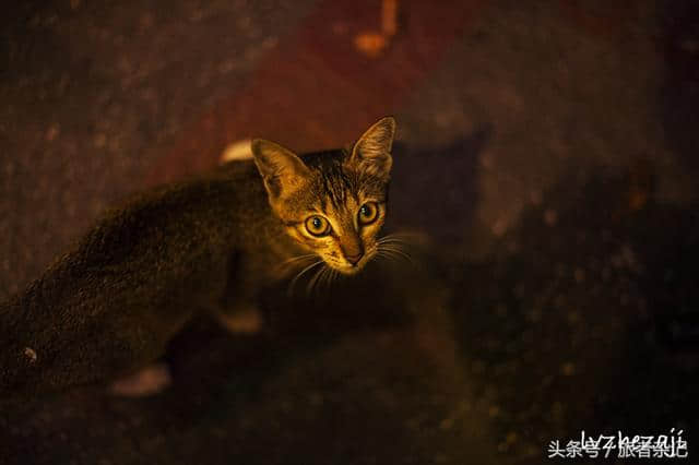 鸡场街、马六甲河——马六甲纪行