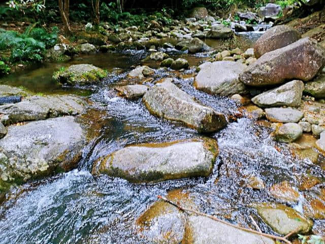 东莞50分钟车程，免门票罗浮山人气氧吧，山泉水够你玩一天