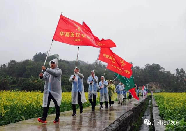 油菜花节开幕啦~梯面百亩黄金花海免费赏！约吗？