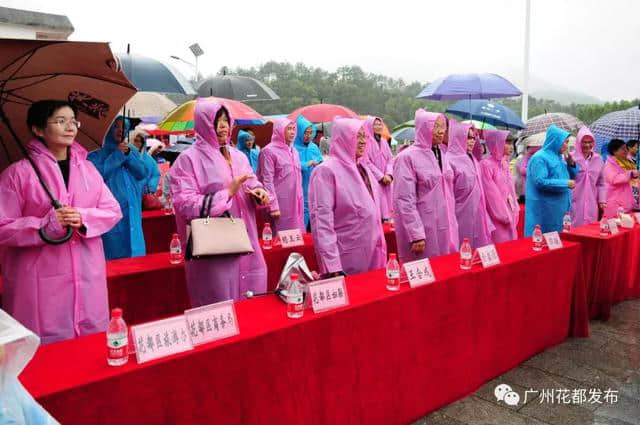 油菜花节开幕啦~梯面百亩黄金花海免费赏！约吗？