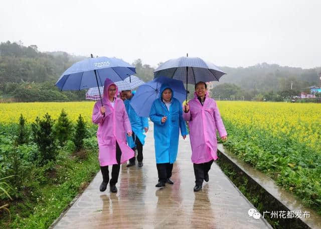 油菜花节开幕啦~梯面百亩黄金花海免费赏！约吗？