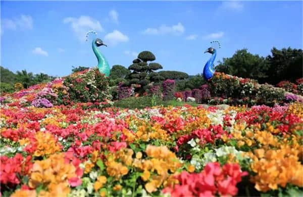 （票豆豆旅游）东南花都休闲度假景区