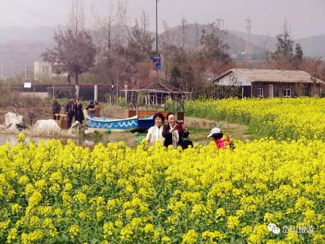 省内近40家旅行社老总齐聚仙岛采风，岱山旅游要火啦！