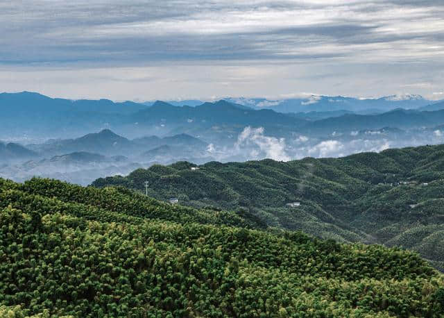 蜀南竹海是国内外少有的大面积竹景，与恐龙石林悬棺并称川南四绝