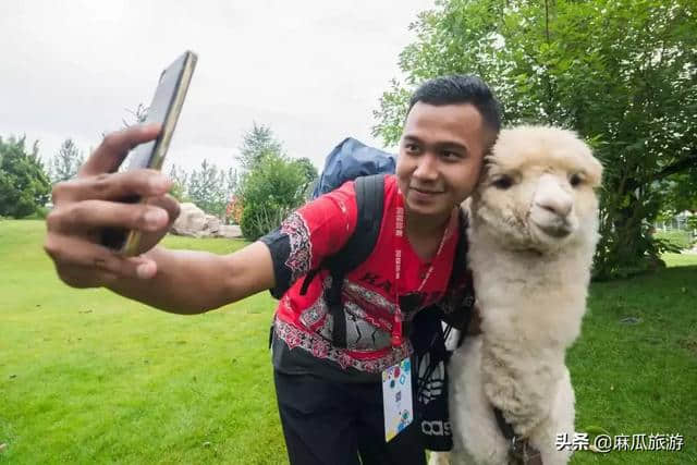 暑期旅游好去处，畅享时光畅享美……