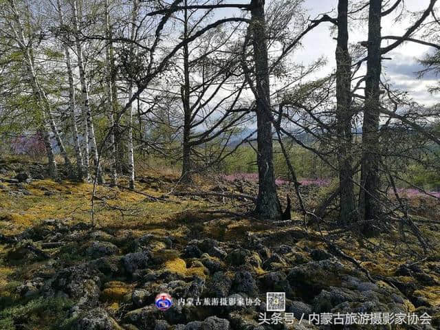 游记丨初探马鞍山火山