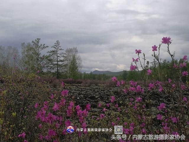 游记丨初探马鞍山火山