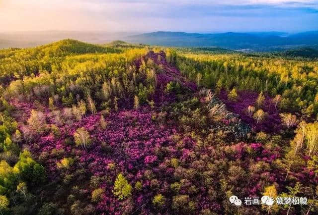 大兴安岭松岭区文化旅游彰显魅力