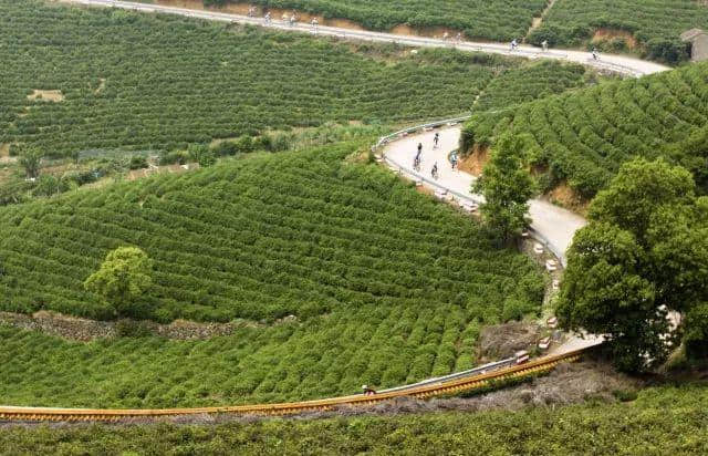 对不起，我要去岱山了，别来找我了！