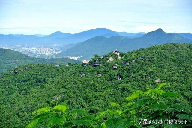 蜀南竹海和张家界森林景观这么美！夏季旅游这些天然氧吧别错过