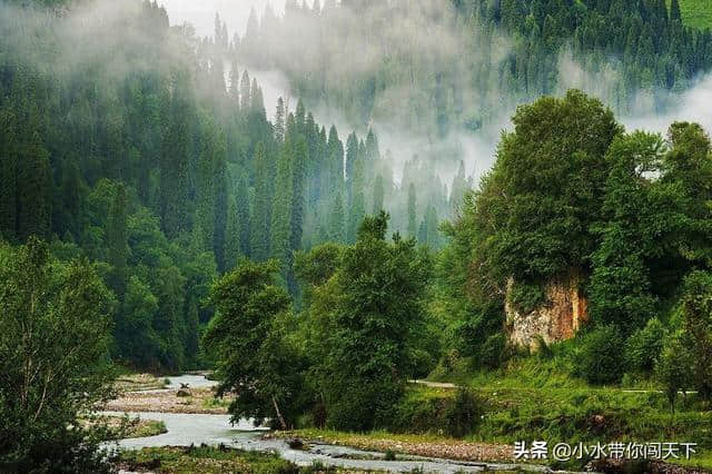 蜀南竹海和张家界森林景观这么美！夏季旅游这些天然氧吧别错过