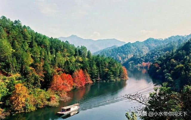 蜀南竹海和张家界森林景观这么美！夏季旅游这些天然氧吧别错过