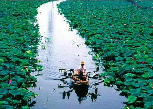 旅游文化：南京汤山温泉，月坨岛，七里海，白洋淀