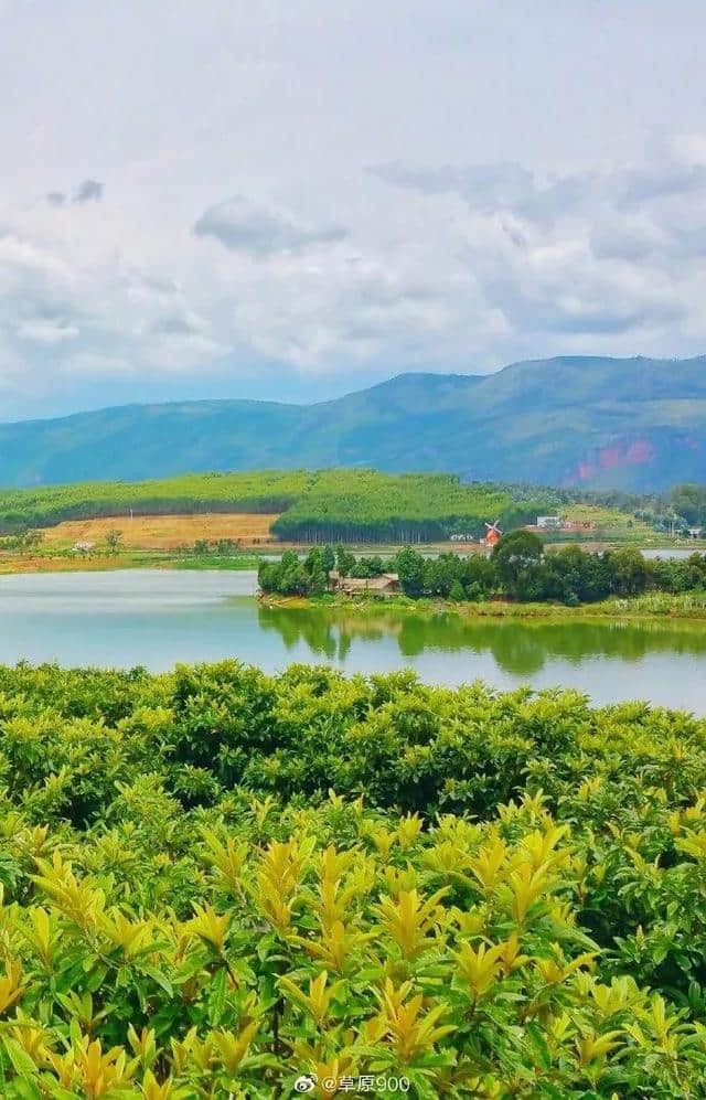 【景色】夏天的元阳梯田，你见过吗？