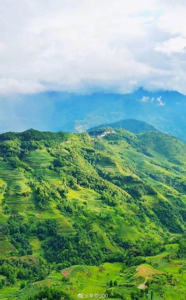 【景色】夏天的元阳梯田，你见过吗？