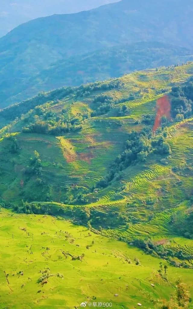 【景色】夏天的元阳梯田，你见过吗？