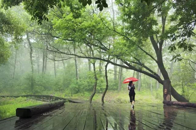 慢游大青沟丨大暑节气，给您推荐一个避暑纳凉的好去处！