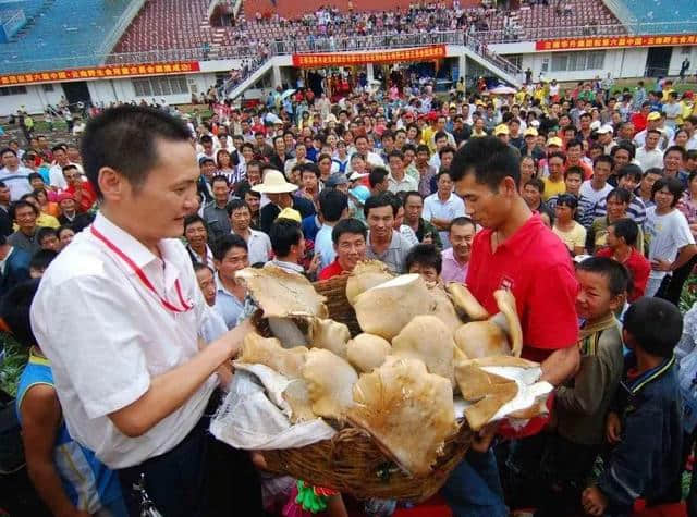 直播预告丨7月20日两场直播带您走进第十四届中国云南野生食用菌交易会！