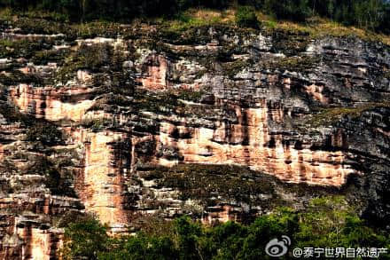 三明：#中国旅游日# 泰宁大金湖0元门票任你游