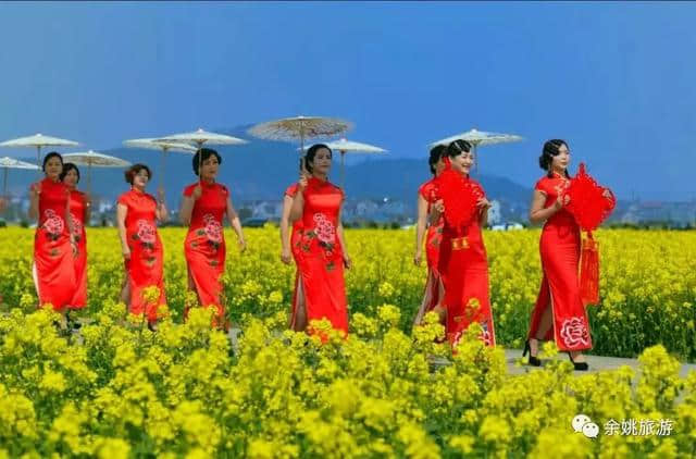 2019余姚四明山旅游节“花开四明”即将拉开帷幕，精彩内容抢先看！