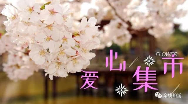 2019余姚四明山旅游节“花开四明”即将拉开帷幕，精彩内容抢先看！