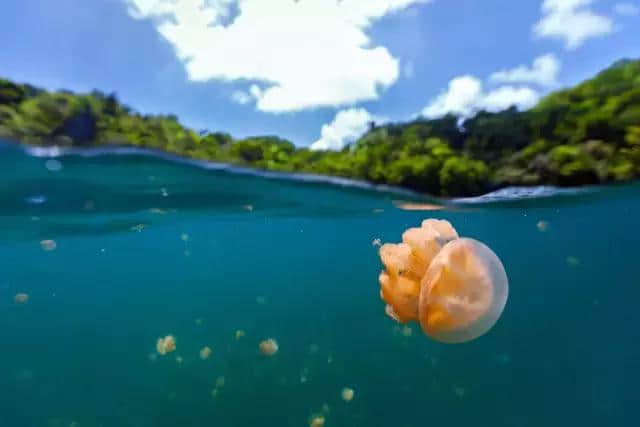 海岛控必收丨最全的海岛攻略，免签/落地签绝美之旅