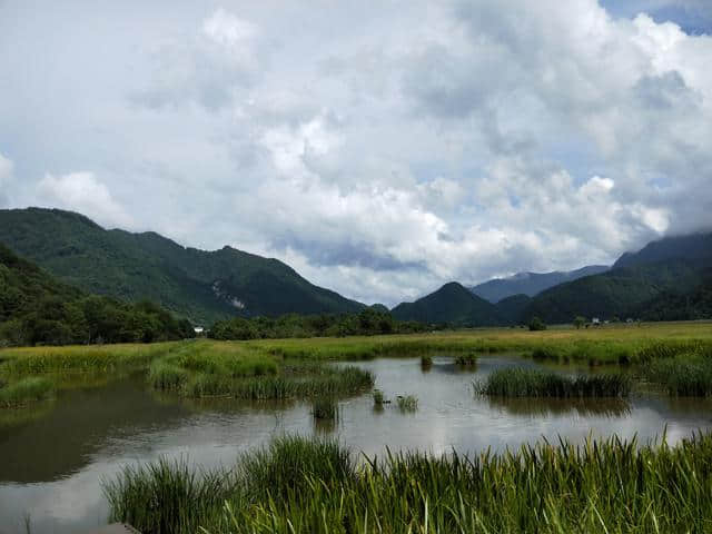 夏日全民旅行记 湖北神农架四日游