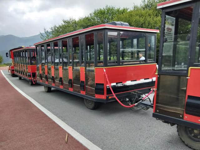 夏日全民旅行记 湖北神农架四日游