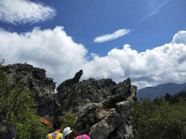 夏日全民旅行记 湖北神农架四日游