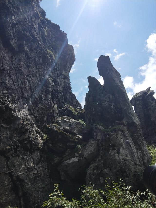 夏日全民旅行记 湖北神农架四日游