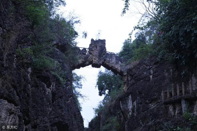 夏日全民旅行记 湖北神农架四日游