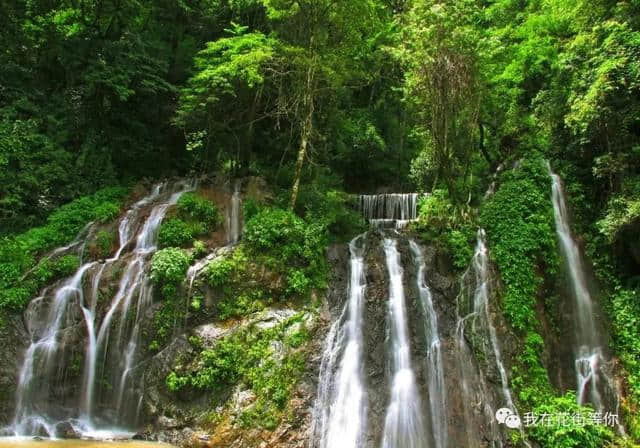 新平戛洒：“玉溪九峰·哀牢山”登山活动完美收官