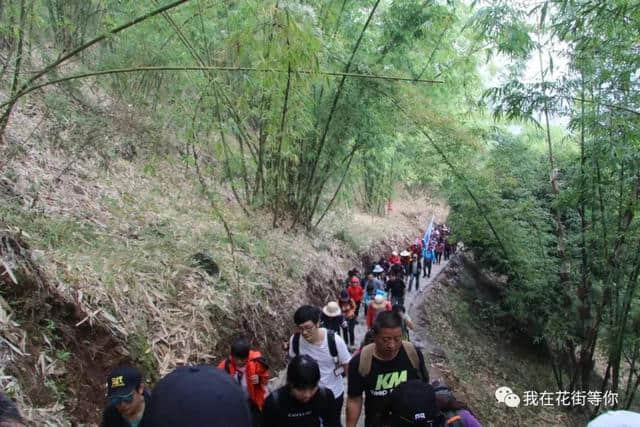 新平戛洒：“玉溪九峰·哀牢山”登山活动完美收官